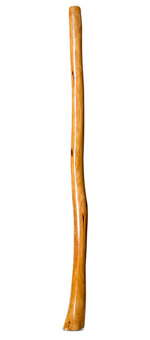Gloss Finish Flared Didgeridoo (TW1435)